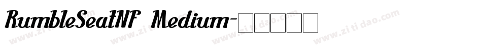 RumbleSeatNF Medium字体转换